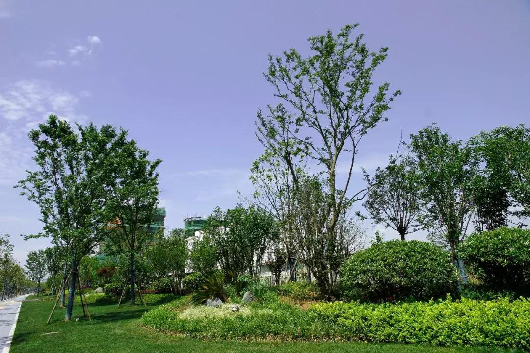 一石百景寸石丈情