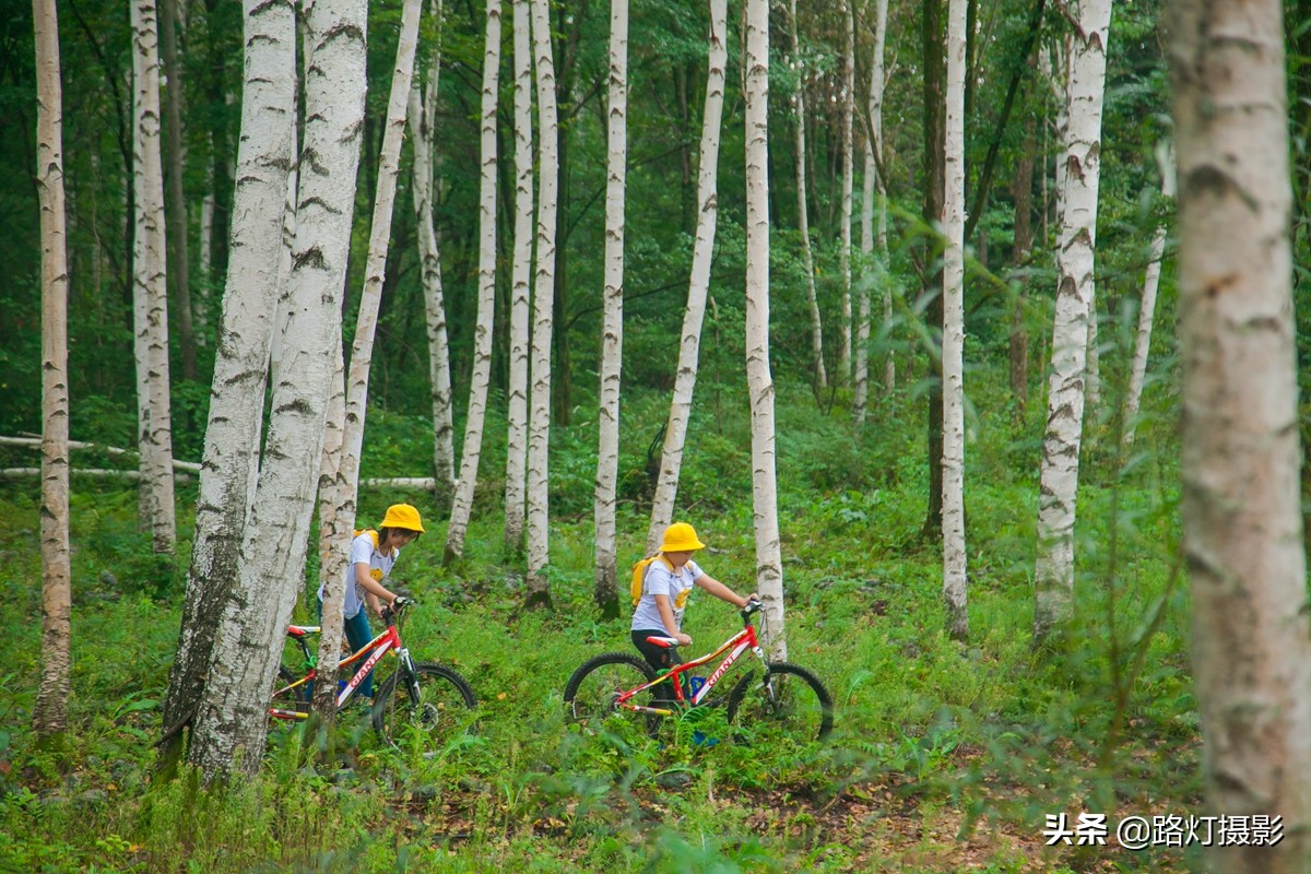 伊春杨溪谷,伊春养溪谷景区