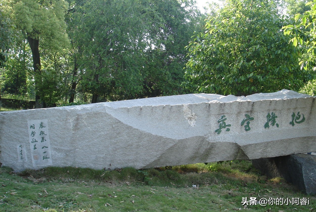 姹熻タ鍐滀笟澶у鍗犲湴闈㈢Н,姹熻タ鍐滀笟澶у杞欢瀛﹂櫌