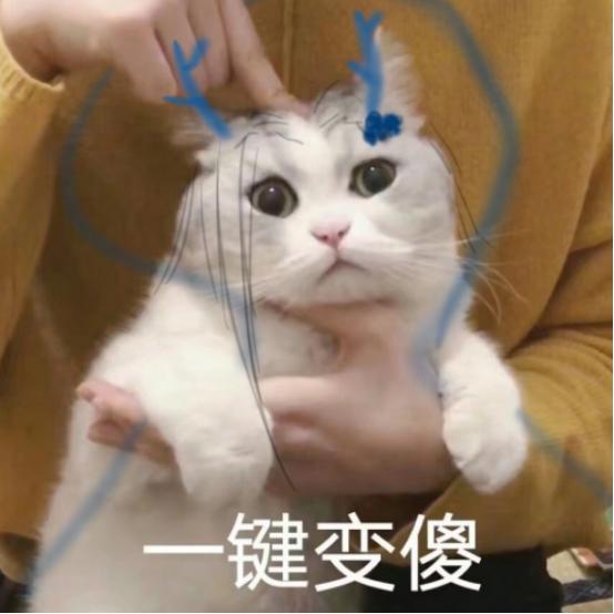 JJC里,奶花想要从头养成一只蓬莱幼崽有多心累?