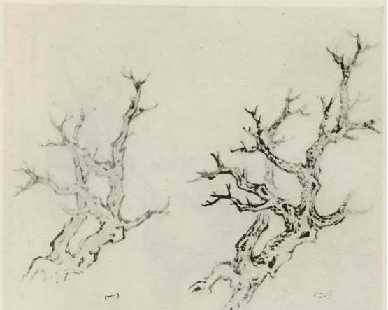 画树教程,怎么画树好看又超级简单