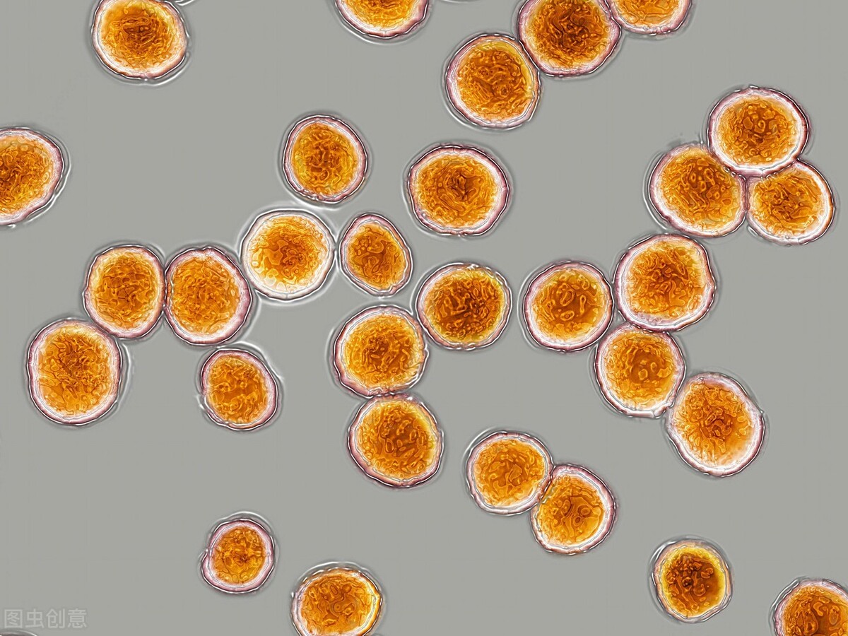 别人坐热的板凳不能马上坐,别人坐热的凳子能直接坐下去吗