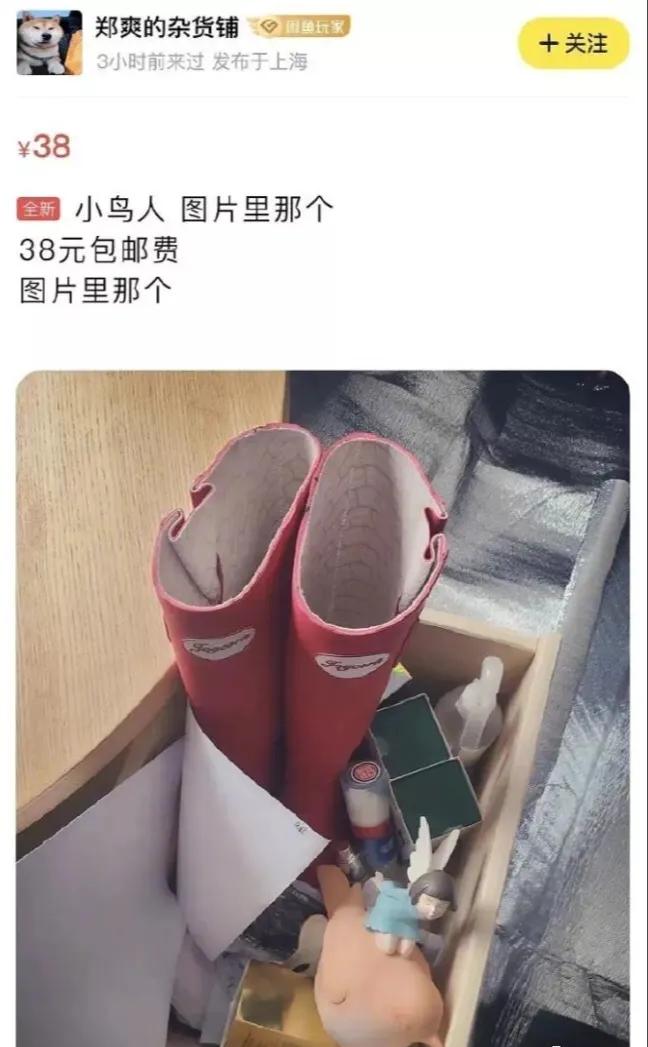 郑爽代孕弃养？一切早已有迹可循