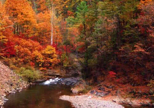 思念家乡青藏高原,思念家乡的嫩江
