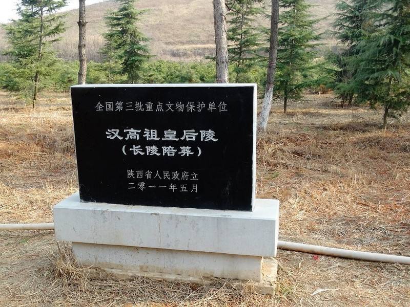 真正的神仙世界,真正的神仙世界视频