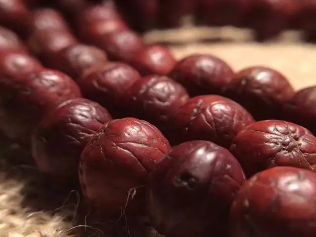 凤眼菩提为什么有的眼睛特别亮,凤眼菩提眼睛破了