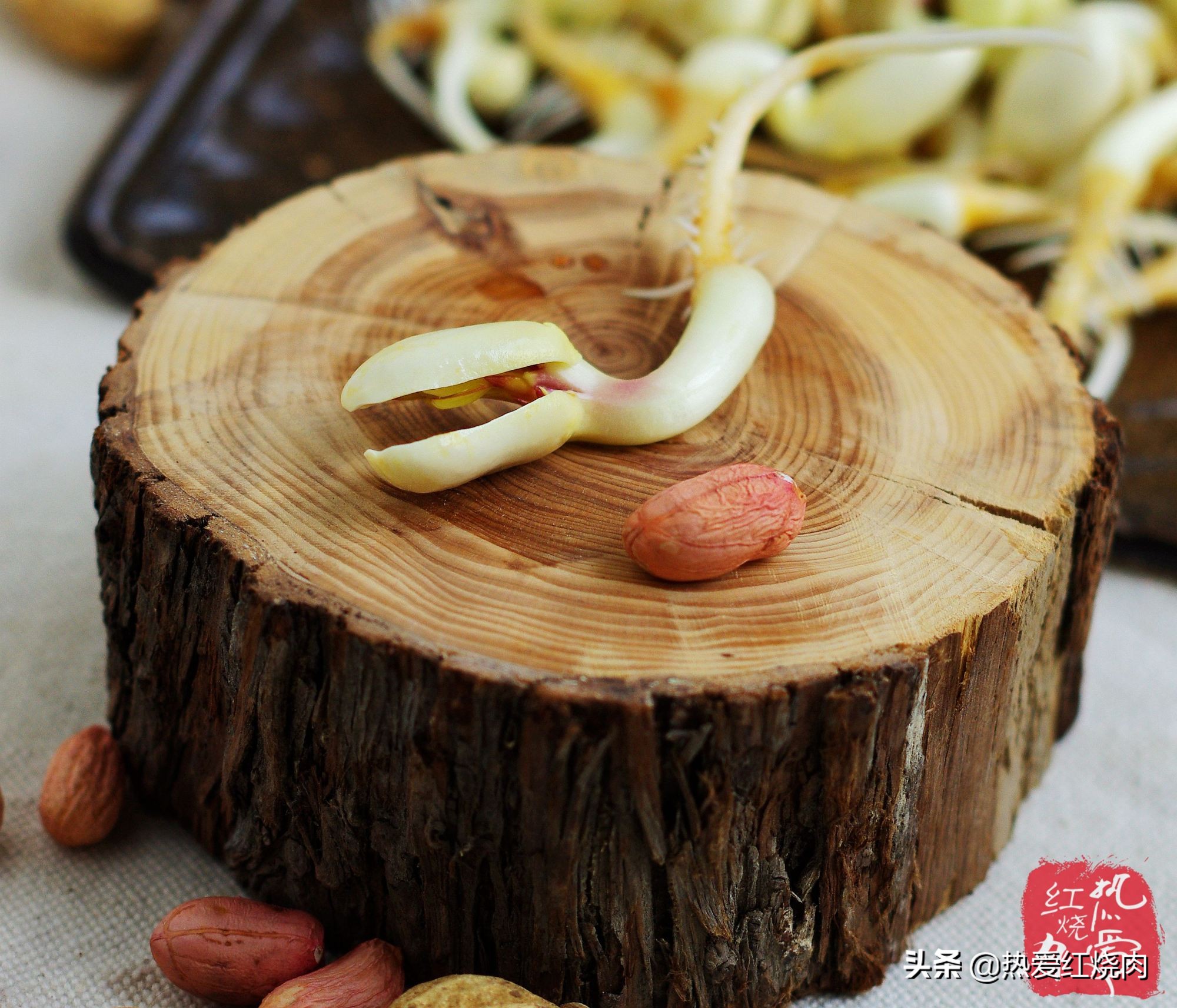 花生芽容易买得到吗,花生做花生芽