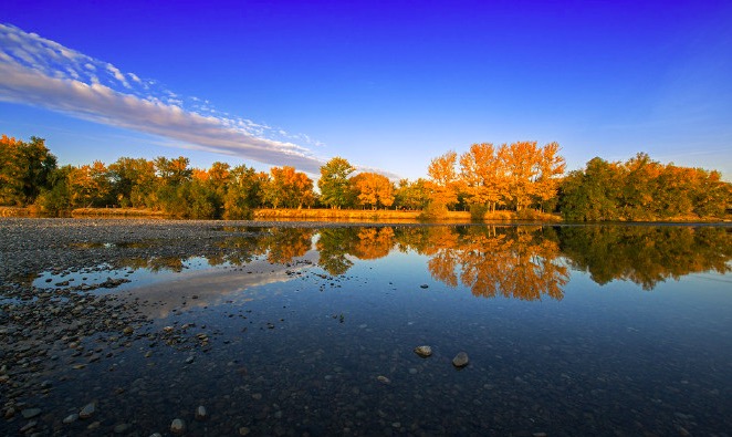 杜甫最有名的十首五言律诗,杜甫最著名的七言律诗十首