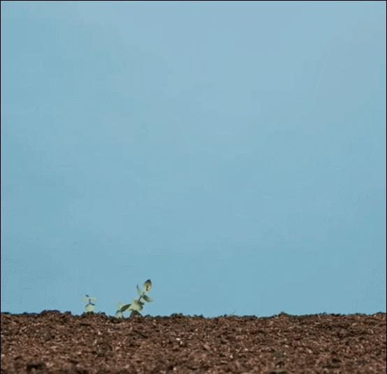 鍚愭Ы闃胯开鑰愬厠,鍚愭Ы鑰愬厠闃胯开