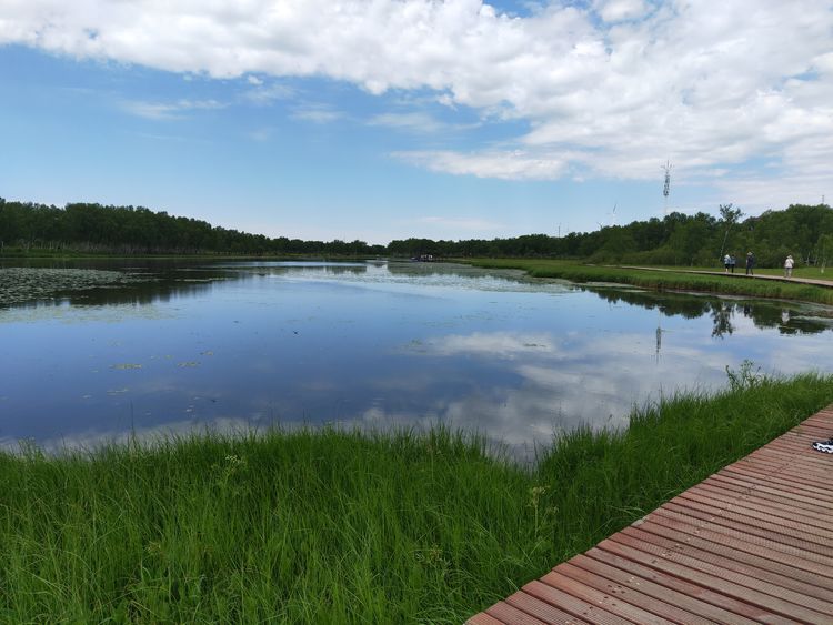 美丽的高岭塞罕坝,美丽的高岭朗诵