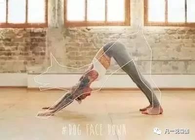 初学者怎么练下犬式,如何练习下犬式