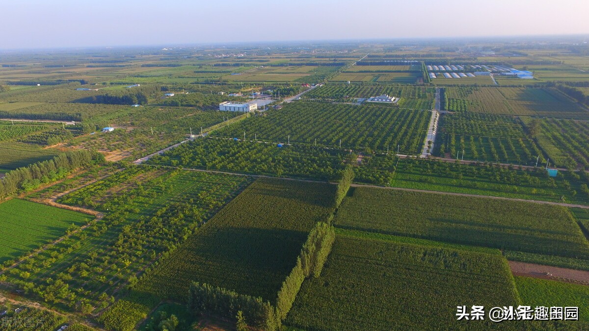 生态农业的优势及前景,生态农业发展存在的问题