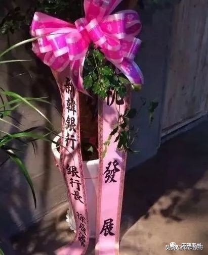 李胜利十字绣,李胜利十字绣片段