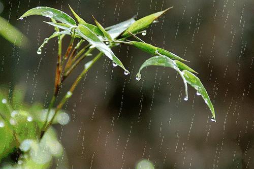 天空淅淅沥沥地下着小雨,天空阴雨绵绵