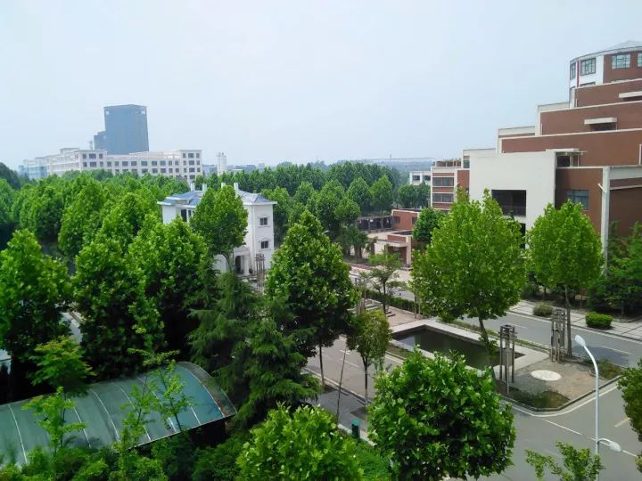 武汉最牛逼的大学有哪几所,武汉公认最好的十所大学