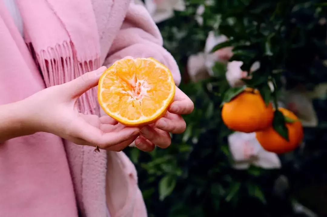 不吃点季节限定美食，这个春天就太没意思了