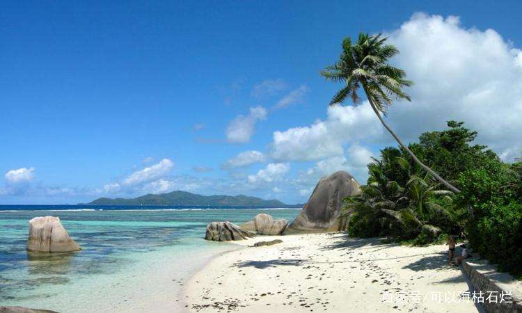 动动手指防痴呆,读读这些句子预防老年痴呆