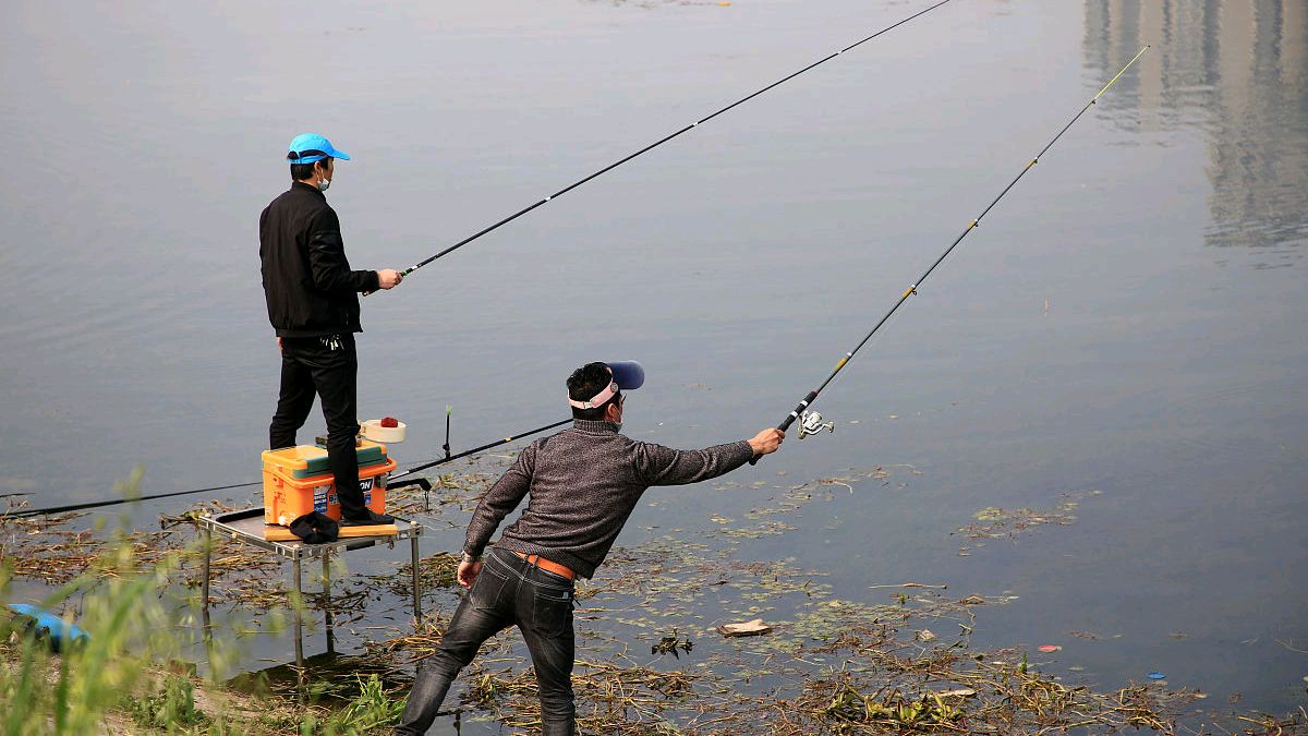 春季水草钩怎样夜钓,河里水草多钓鱼技巧