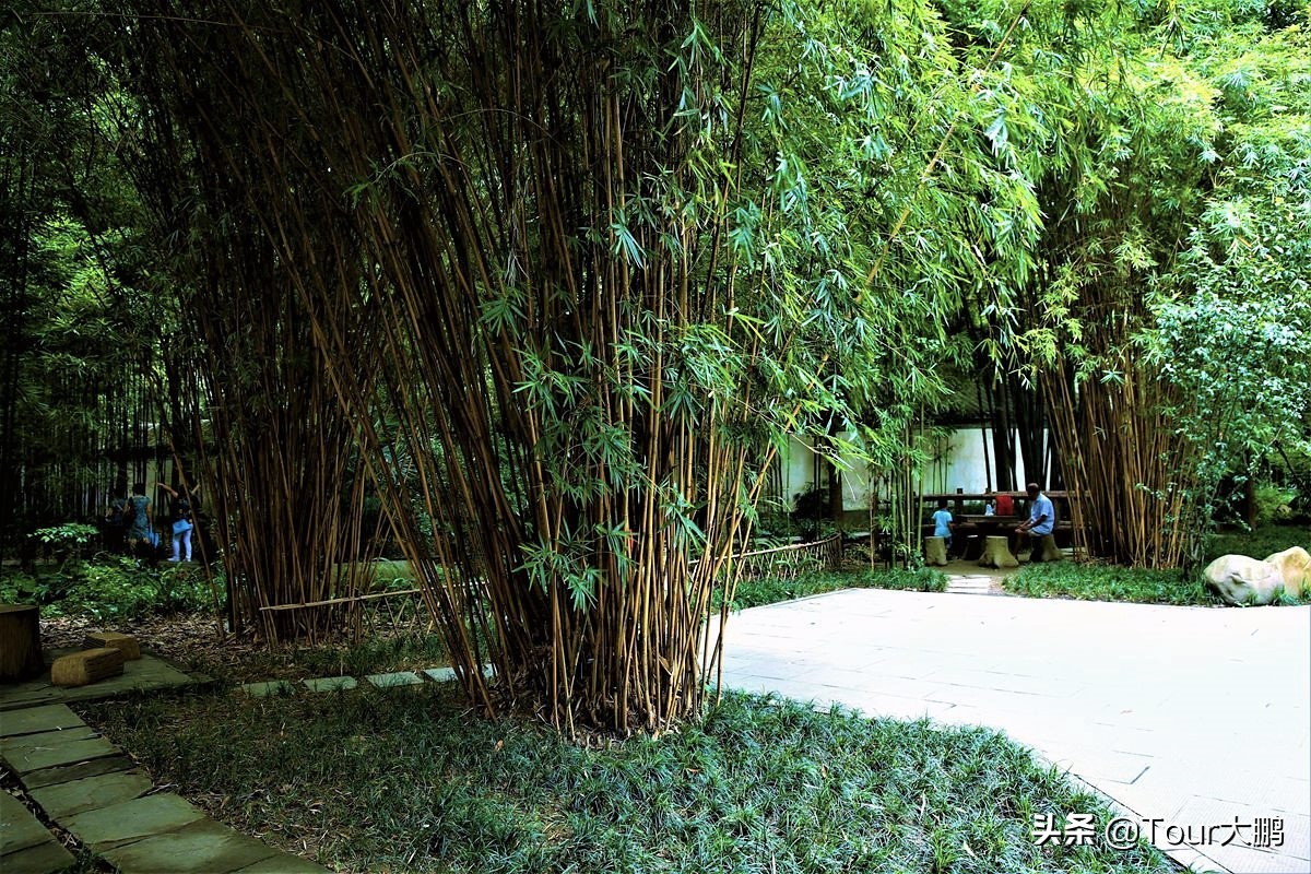 成都天府二街美食,成都天府夜间美食攻略