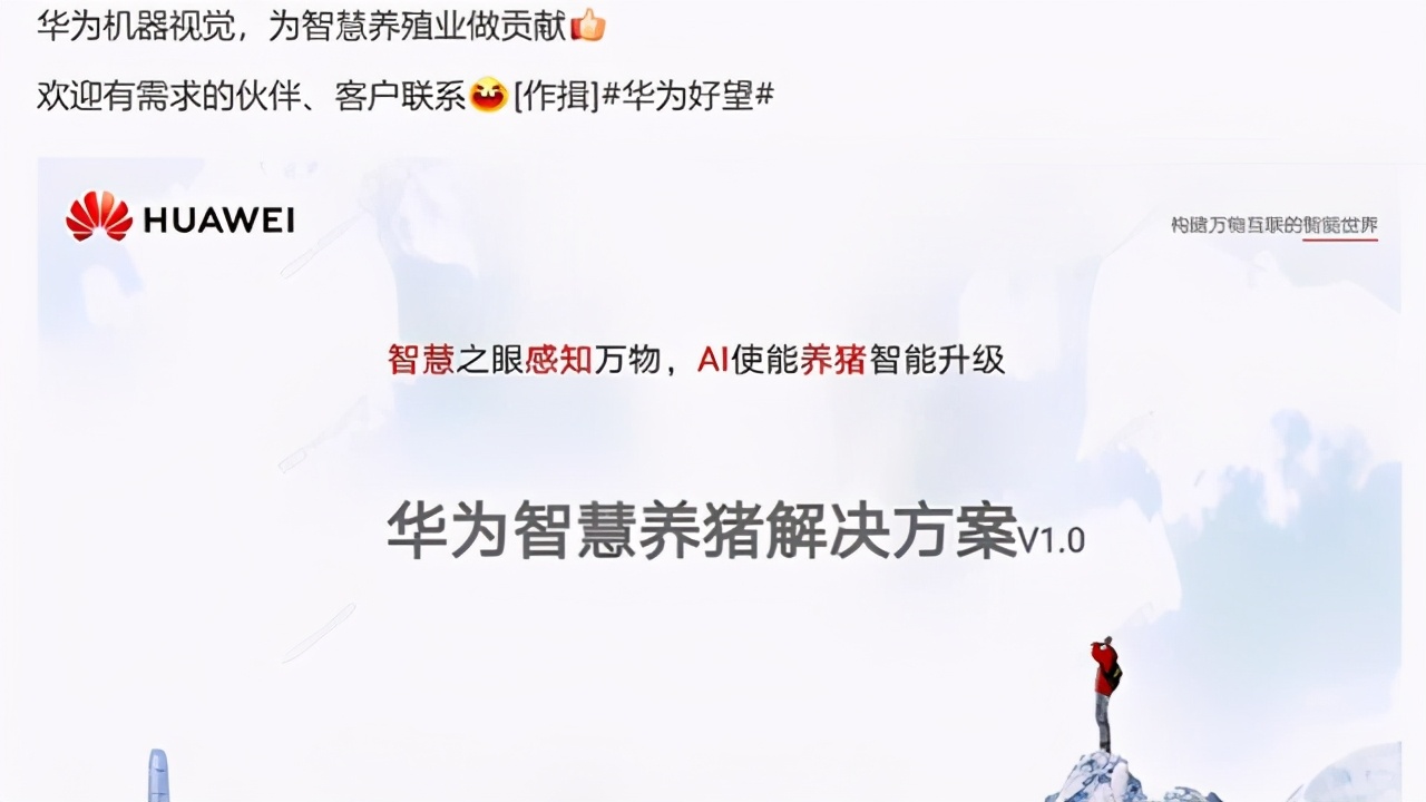 京东为什么转型养猪,京东阿里养猪是真的吗