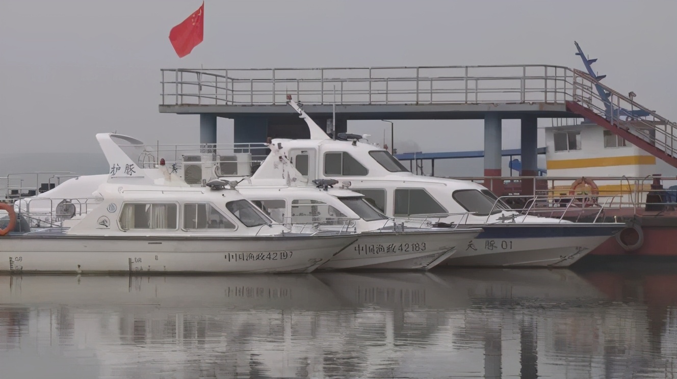 江豚是怎样过冬的,江豚怎么过冬