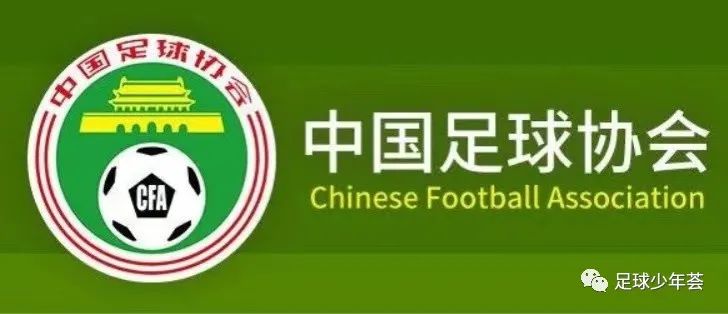 中国足球青训2011,中国足球青训近10年成绩
