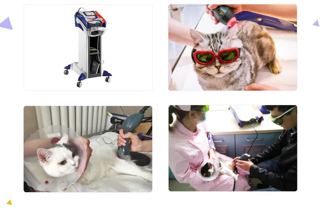 中兽医针灸疗法,中兽医验方与妙用精编