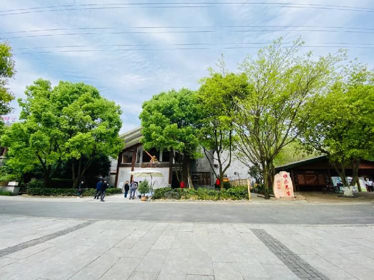 重庆的这些茶馆，能让时间慢下来