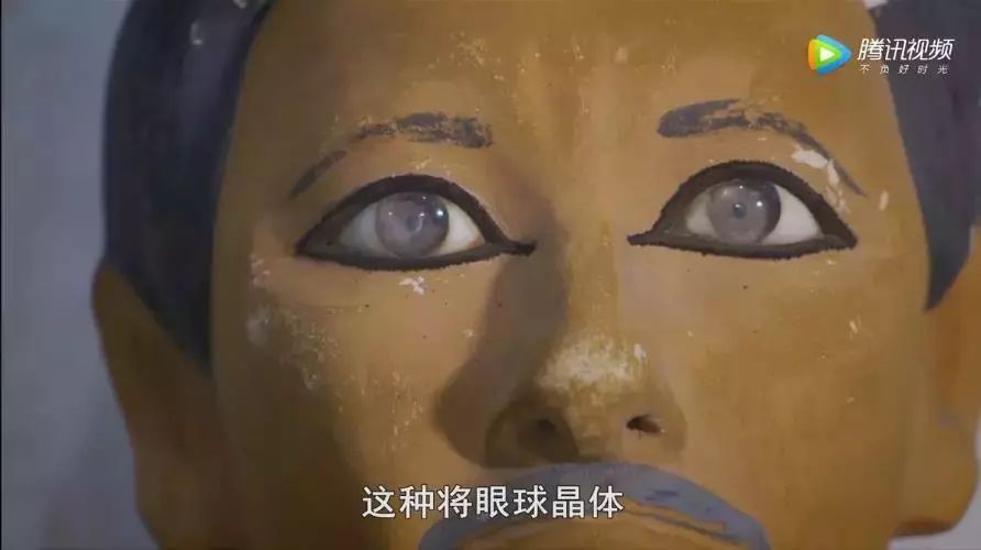 孩子暑期必看的50部神级纪录片,适合孩子和家长一起看的纪录片