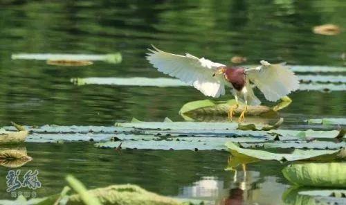 长春一日游有什么好玩的,长春一日游玩的地方都有哪些
