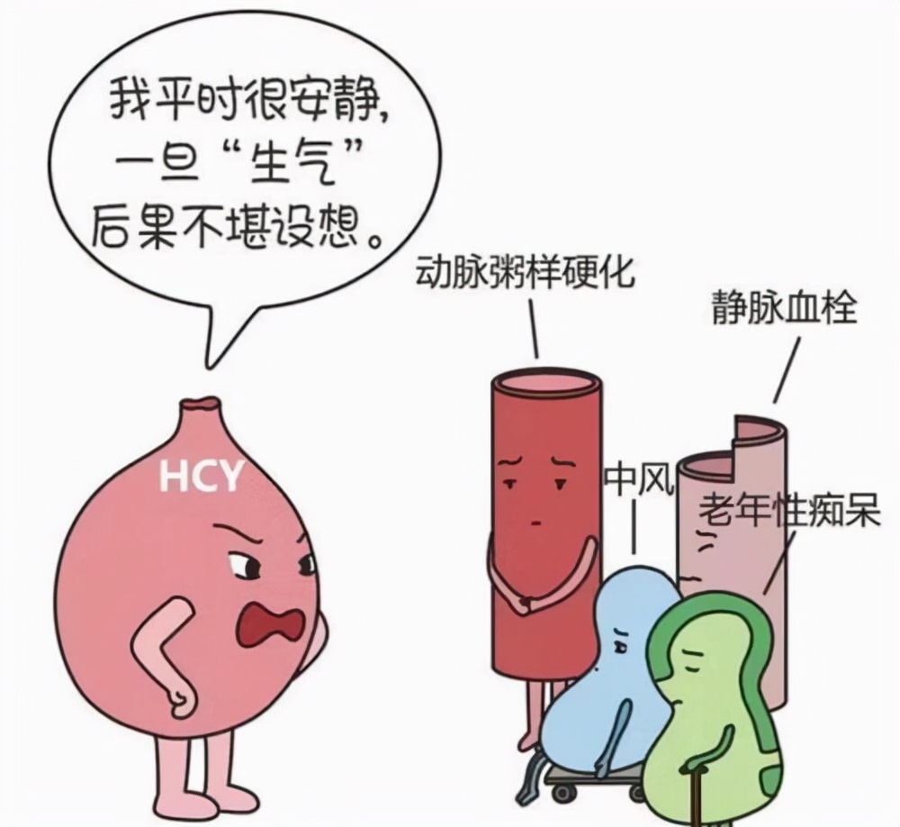 高血压和高脂血的区别,高血压可怕还是高脂血症可怕