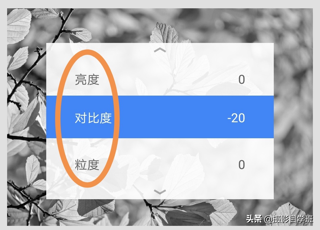 怎么拍出有质感的植物,如何拍出植物特别绿