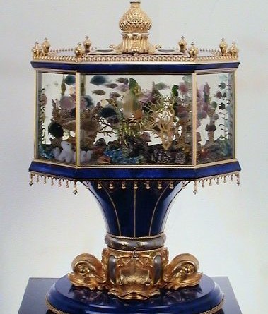 养鱼为什么要放盐,养鱼为什么又要杀菌又要培菌