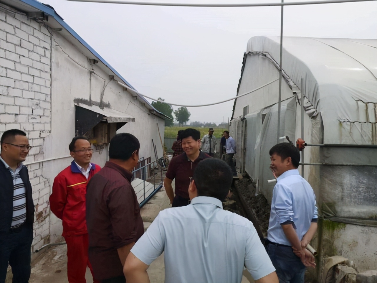 500强中国企业双胞胎集团,双胞胎企业500强