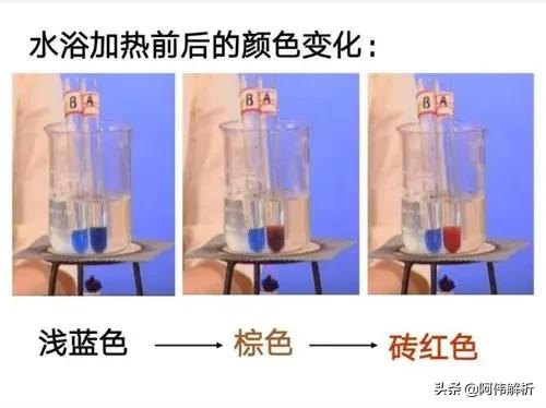 焰色反应实验报告简单,显色反应化学实验高中