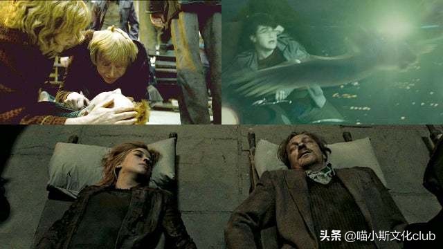 哈利波特中的巫师都能活很久吗,哈利波特最强巫师是什么水平