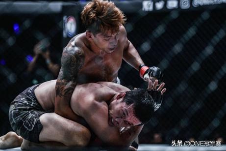 后记的主要内容和感悟,后记写法