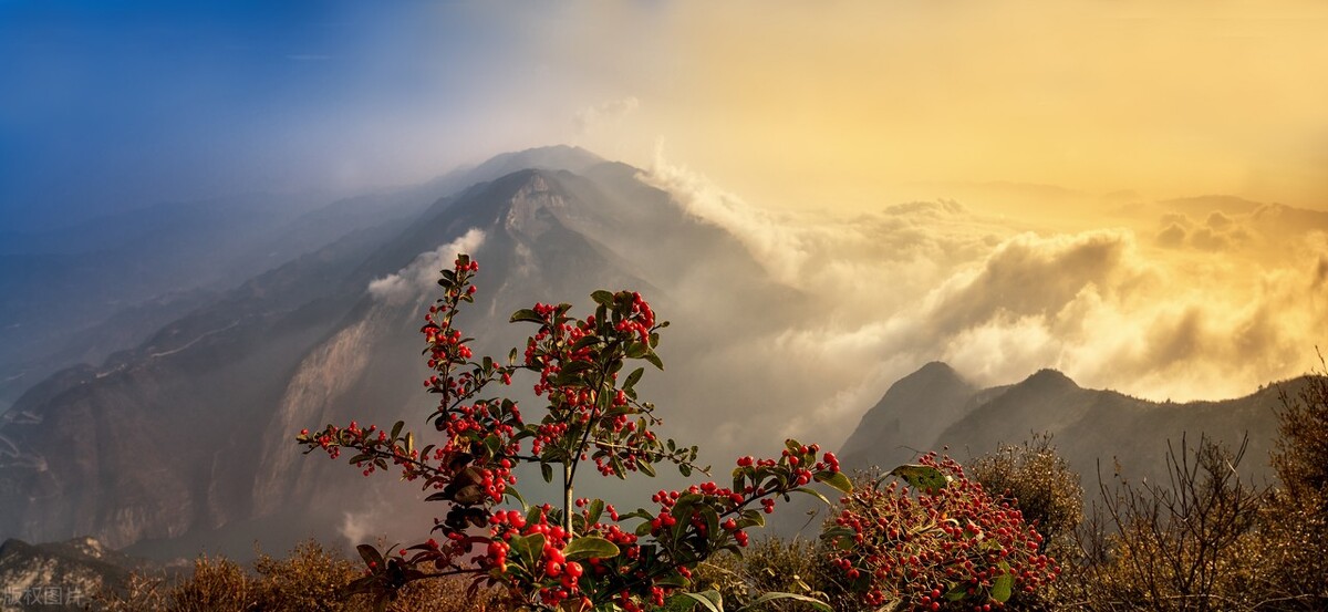 写出好诗的六大要素,如何写好诗的方法和技巧
