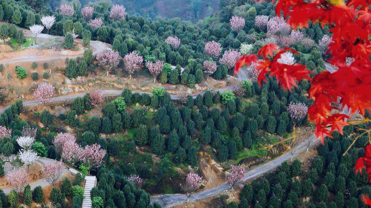 四川旅游踩坑的地方,贵州旅游踩坑