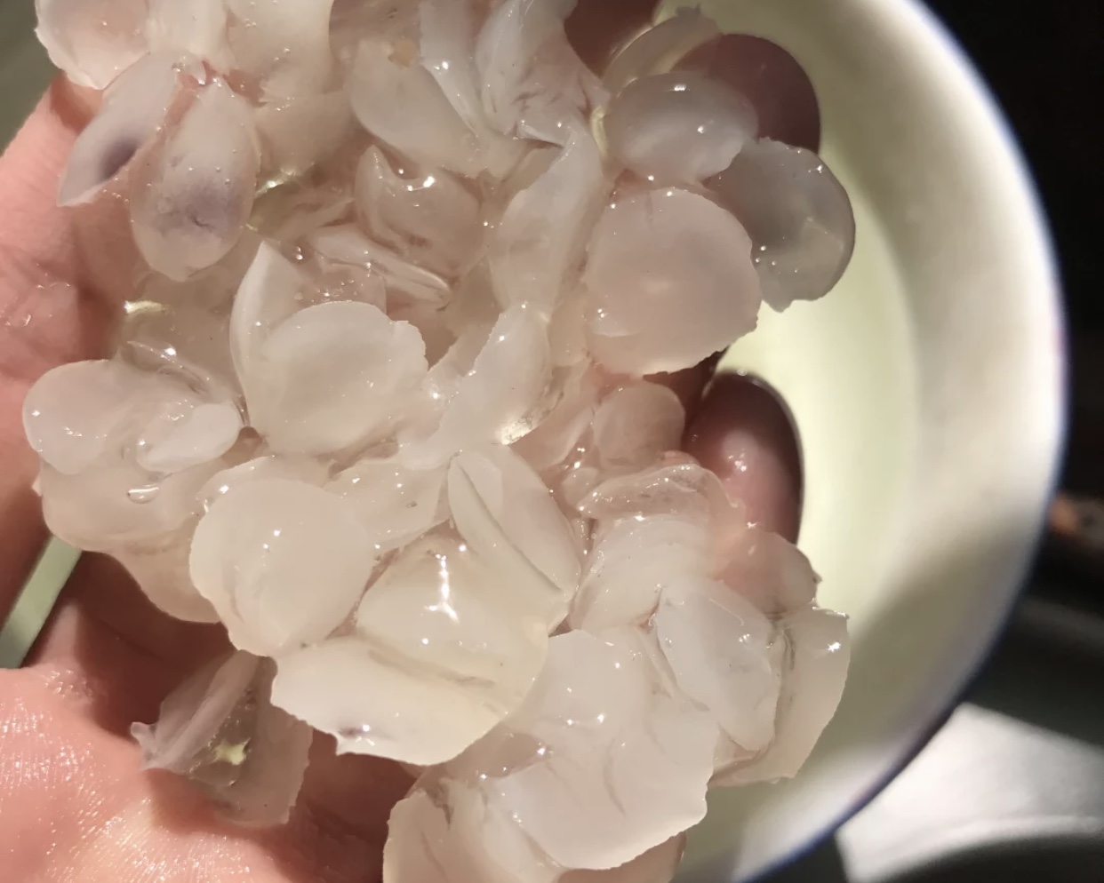 桃胶皂角米雪燕功效与禁忌,桃胶皂角米雪燕禁忌吃什么