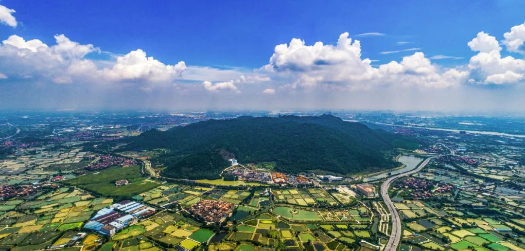 落实习*平近**总书记指示要求·调研记｜城乡融合，再造一个新广东