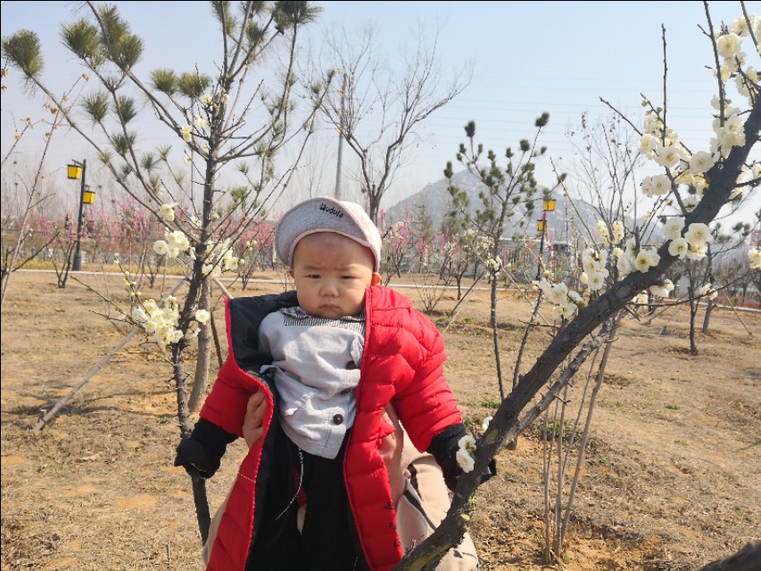 消失的童年游戏,消失的少女游戏