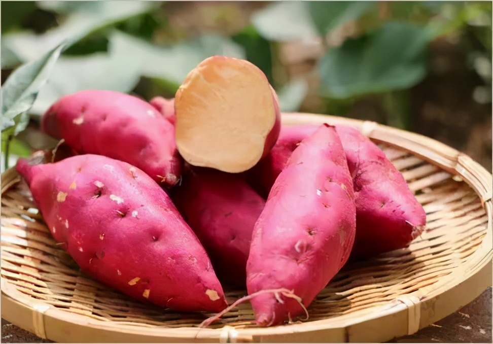 冬天红薯的正确吃法,红薯冬天怎么做红薯干