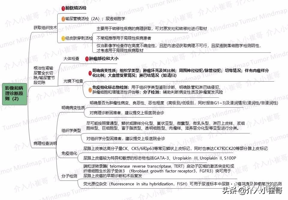 肿瘤护理思维导图,肿瘤免疫思维导图