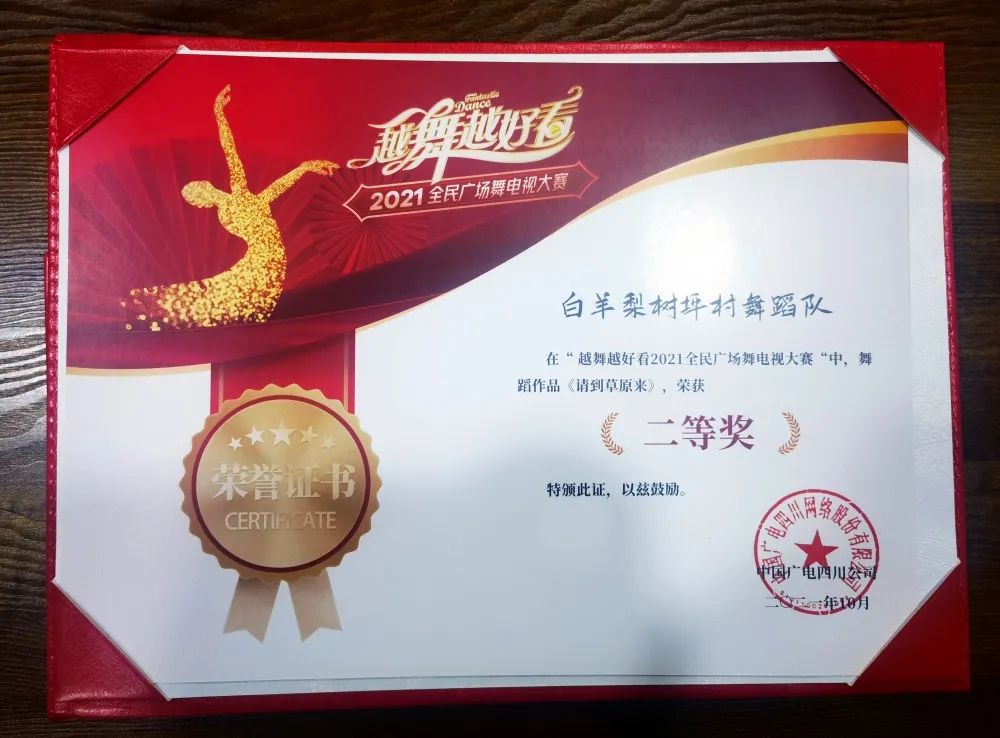 广场舞比赛奖品,广场舞大赛一等奖100个