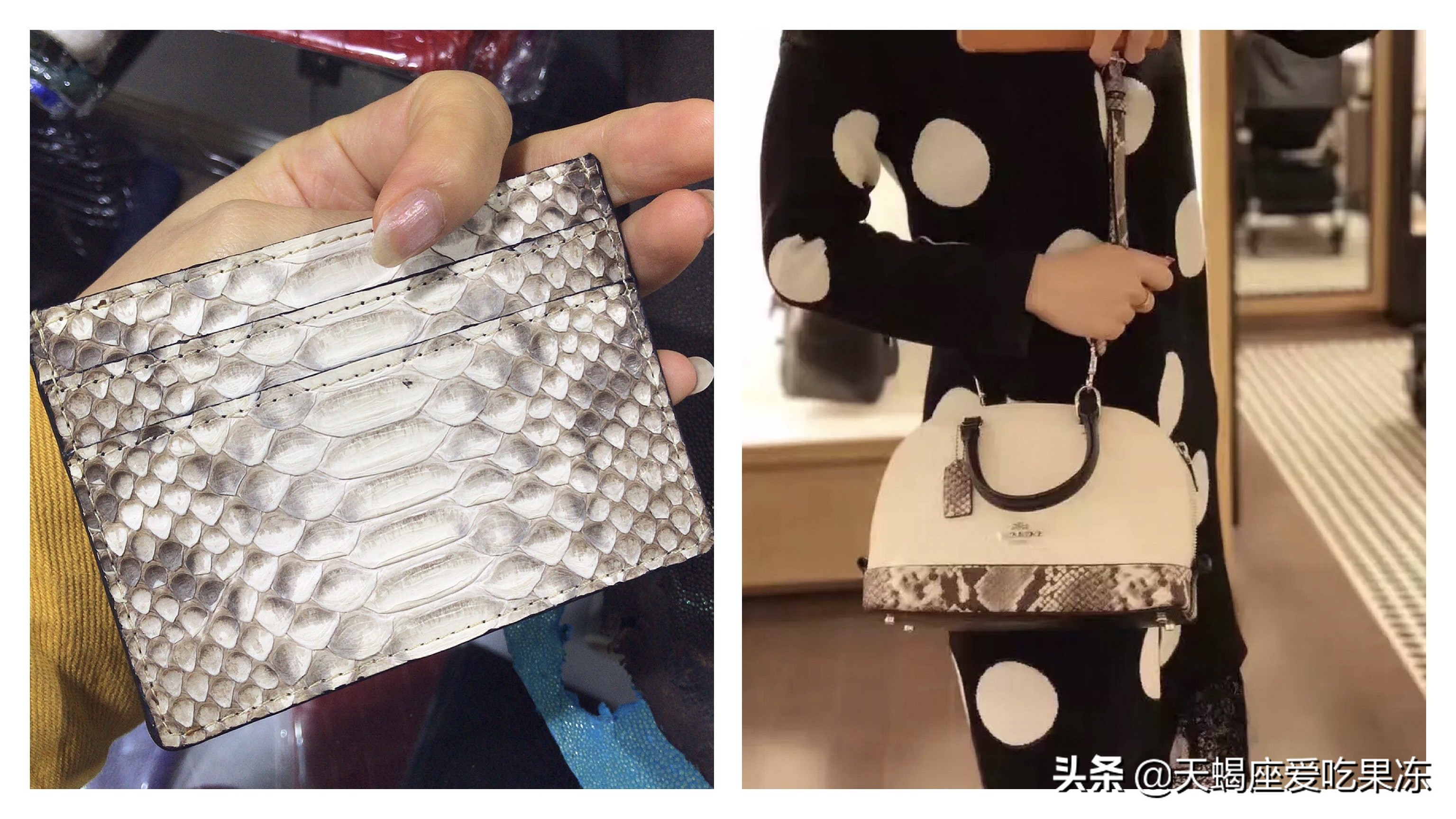 盘点那些既廉价又昂贵的时髦单品,时髦又不贵的穿着打扮单品