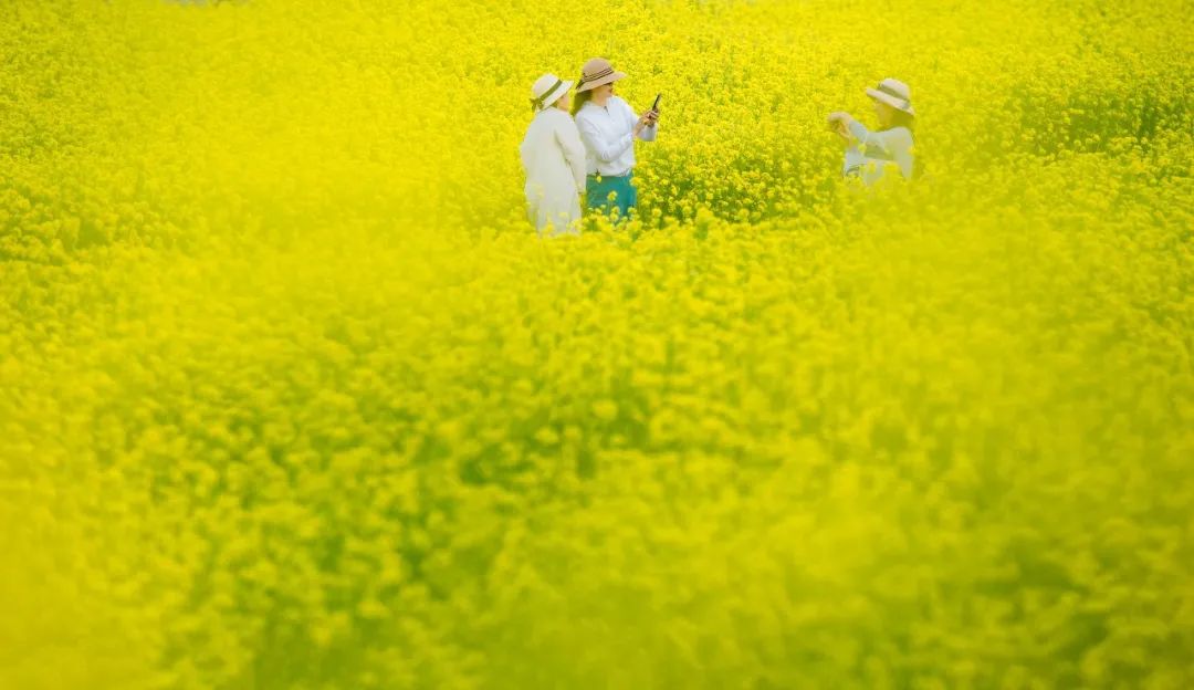 东港这么美！我要去看看