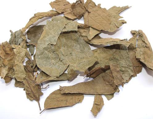 17岁男孩喝什么汤可以长高,长高汤的功效与最佳饮用时间