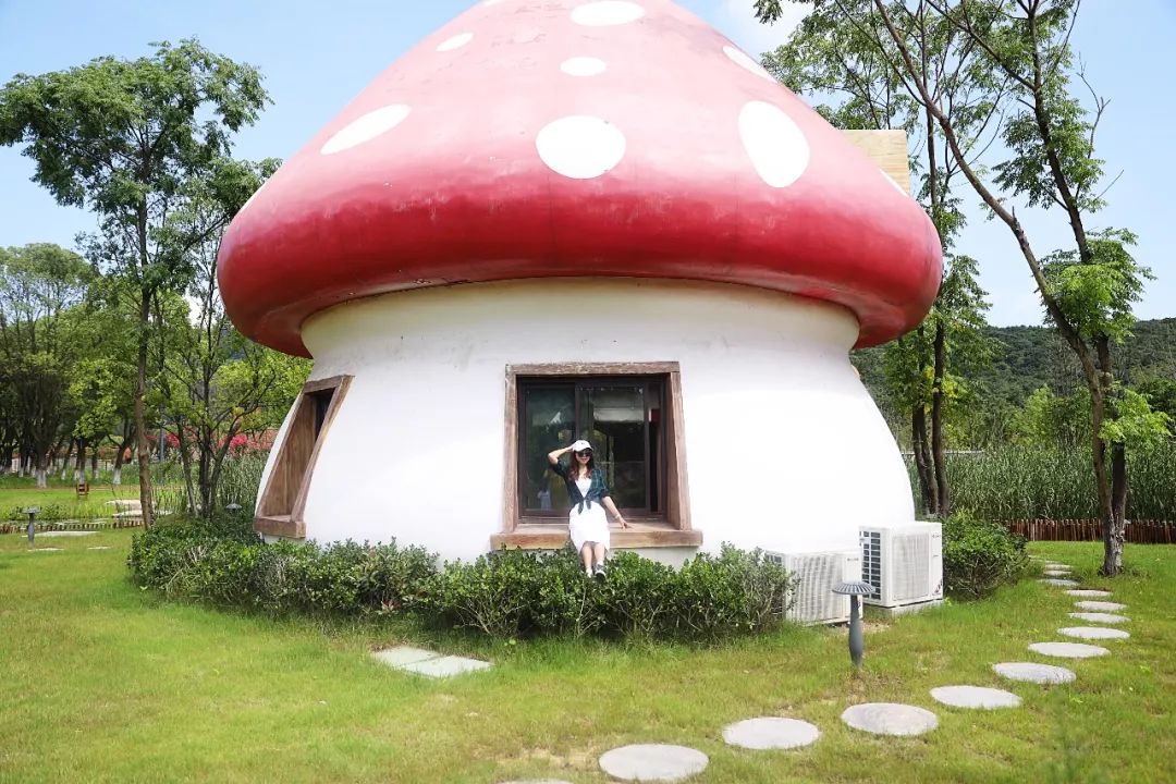 房车露营旅行推荐,自驾出游露营野炊房车营地