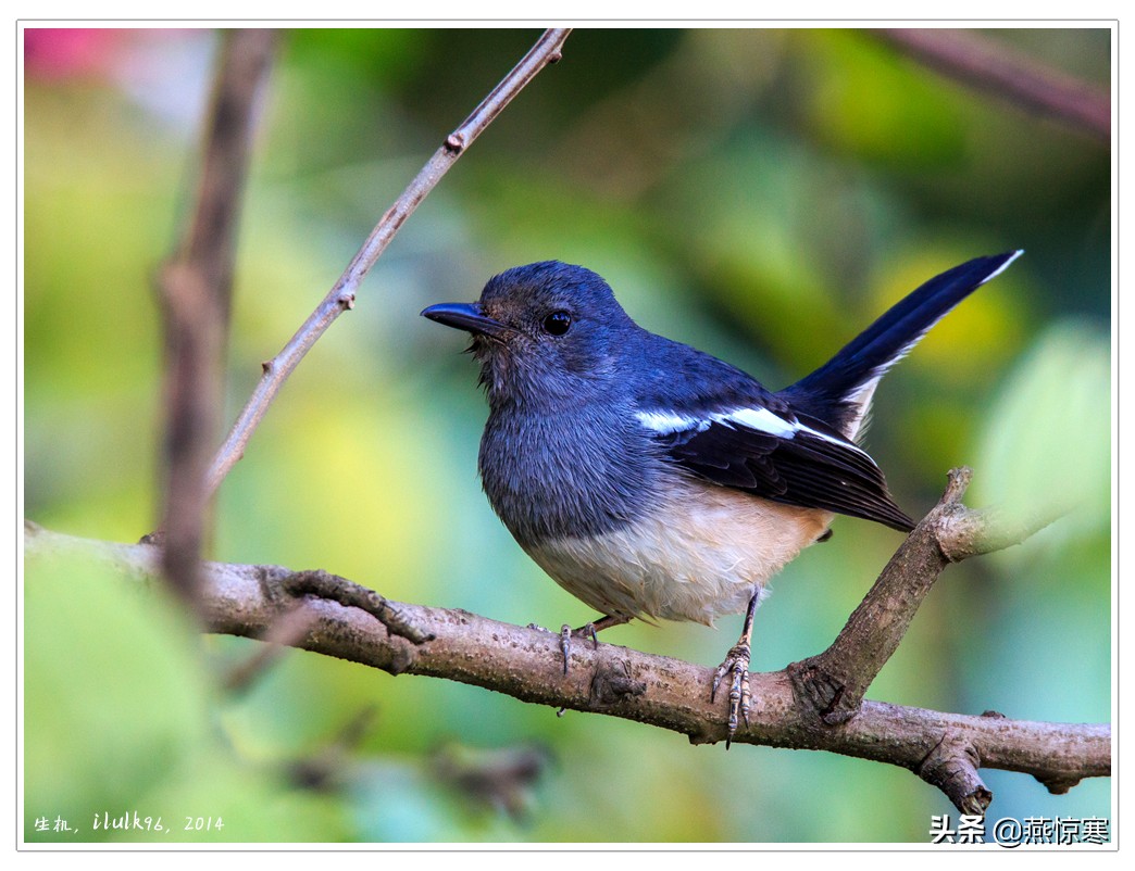 佳能rf24-702.8镜头,推荐几款佳能相机和镜头